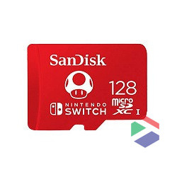 SanDisk - Flash memory card...