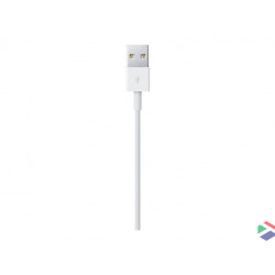 Apple - Cable Lightning -...